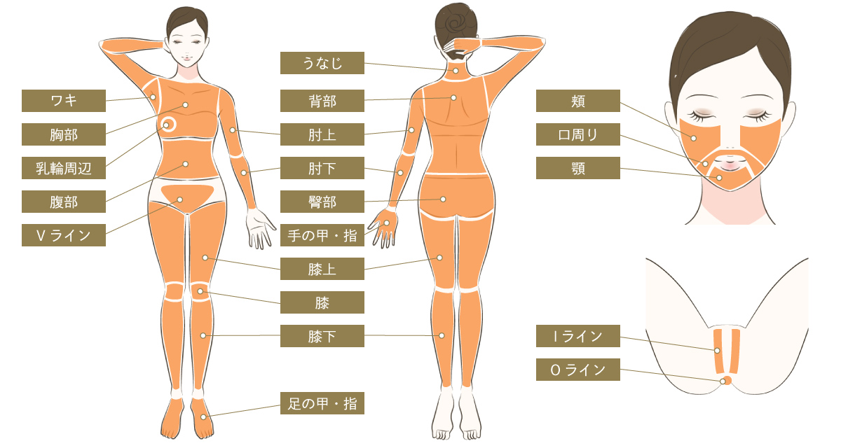施術部位