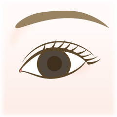 たれ目形成の手術内容01