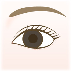 たれ目形成の手術内容03